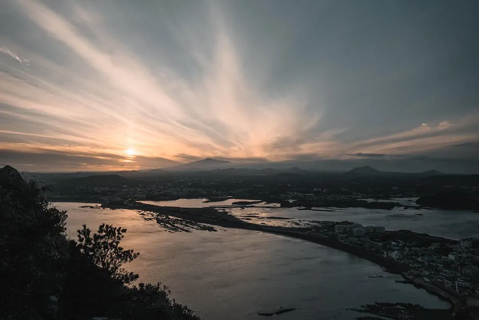 제주도 부동산 매물
