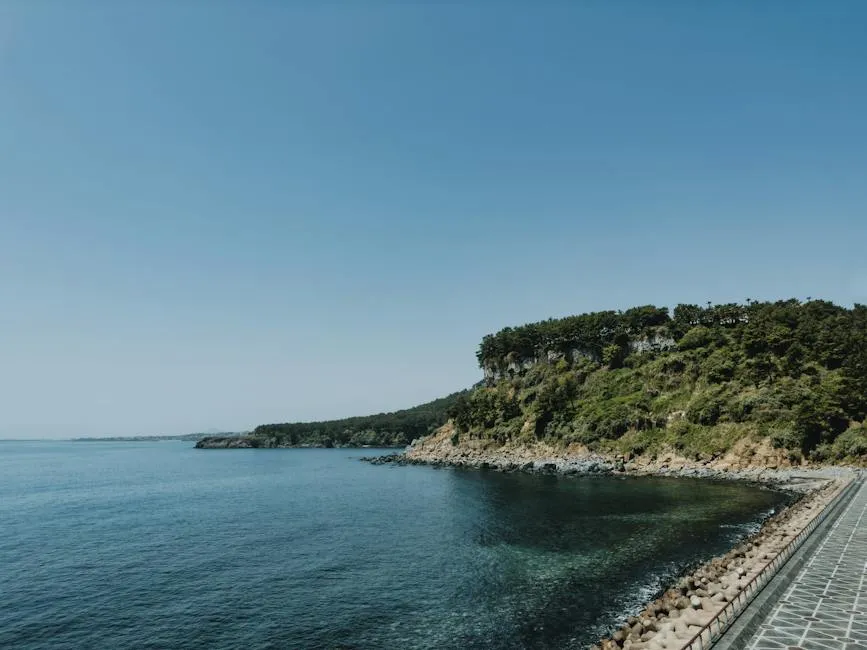 [제주도 부동산] 제주도 부동산 시장 조사 및 전망 1